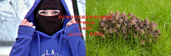 ECSTASY Балабаново