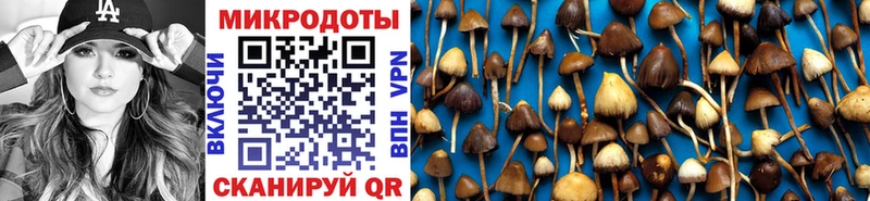 где найти   Рассказово  Галлюциногенные грибы ЛСД 